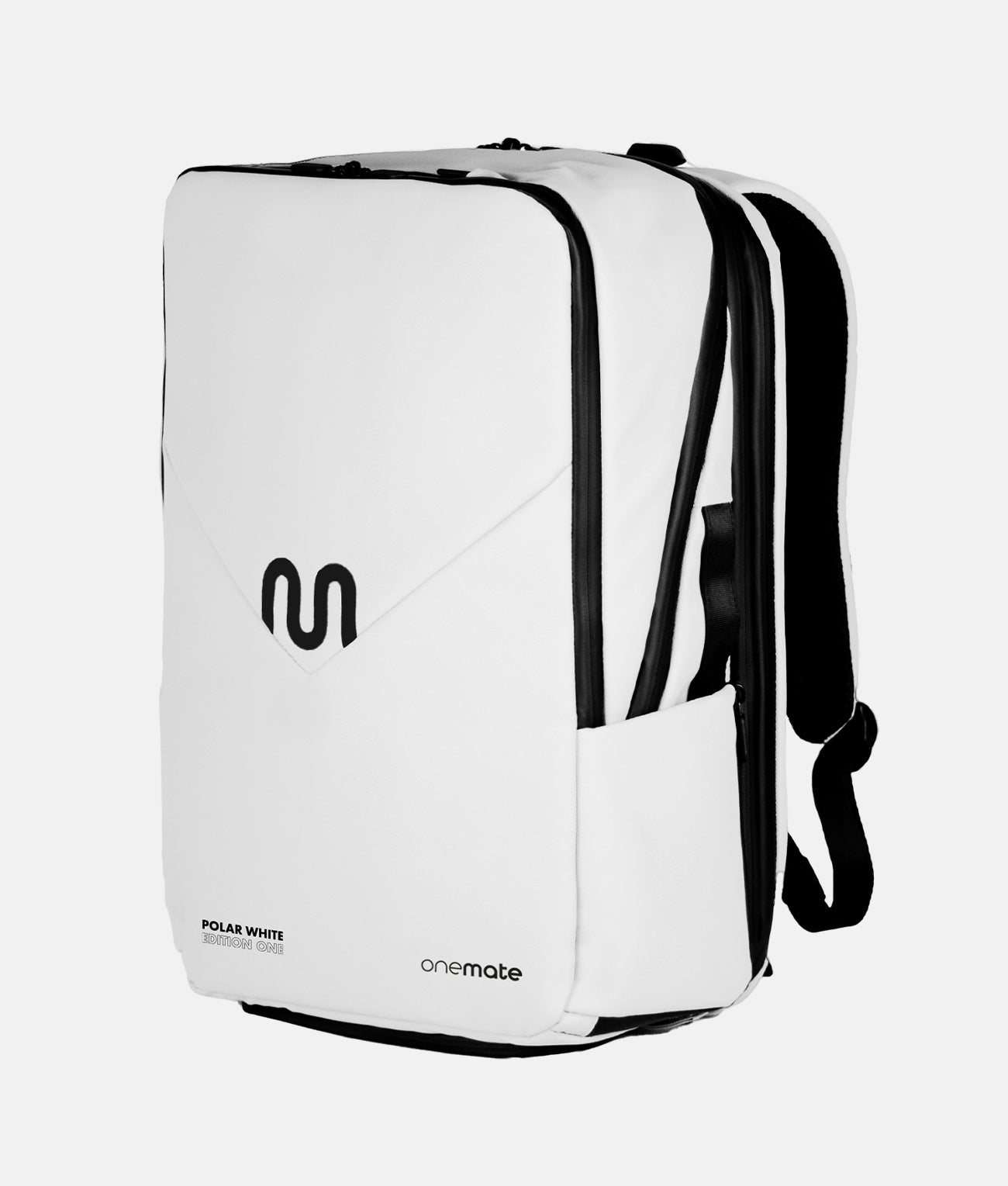 Backpack Pro 1